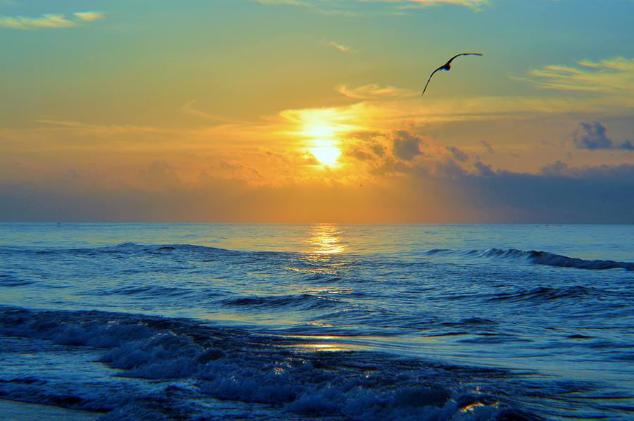 Ocean Breeze Photograph by Cynthia Covington - Fine Art America