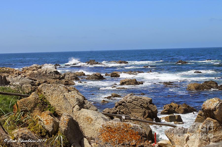 17 Mile Drive Photograph - Ocean Breeze by Forever Young