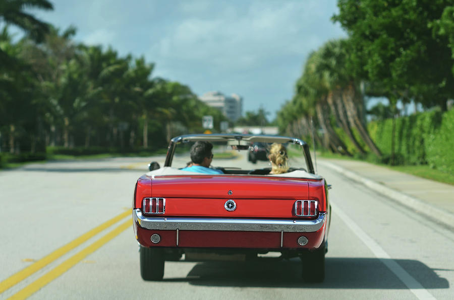 Ocean Drive - 1965 Mustang by Laura Fasulo Ocean Drive - 1965 Mustang by Laura Fasulo