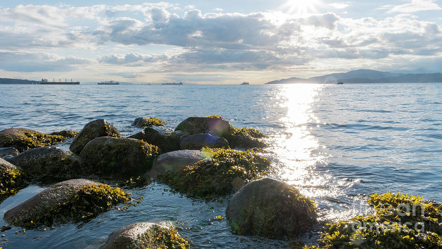 Ocean flickering under sunset Photograph by Josephine Cleopahrt | Fine