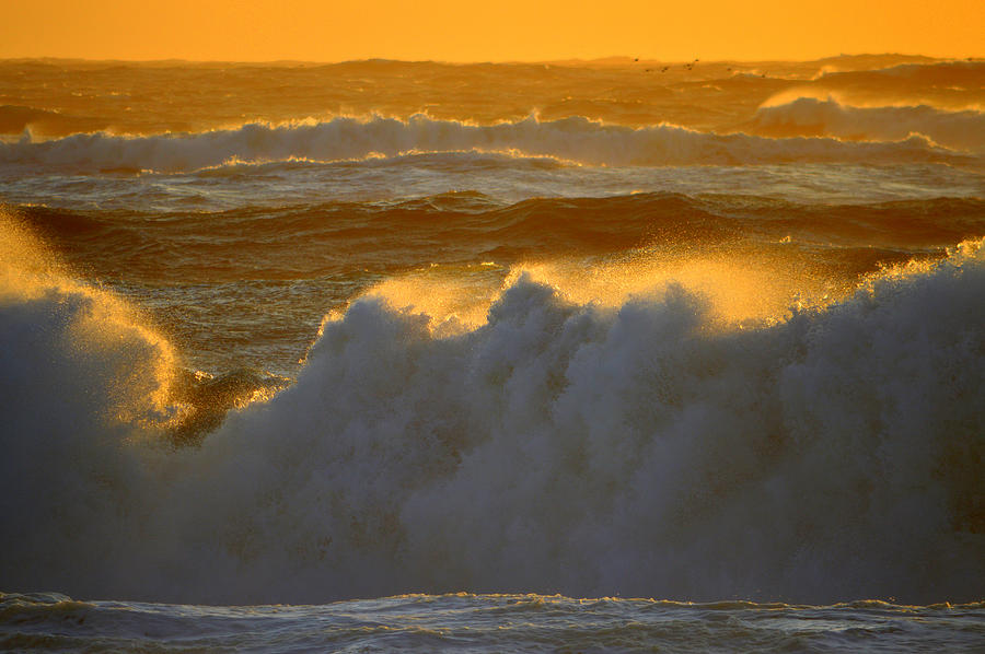 Ocean Fury - Cape Cod National Seashore Photograph by Dianne Cowen Cape Cod Photography