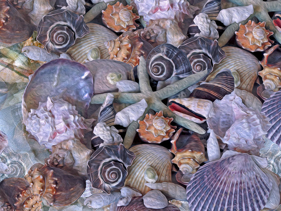 Shell Photograph - Ocean Gems 11 by Lynda Lehmann