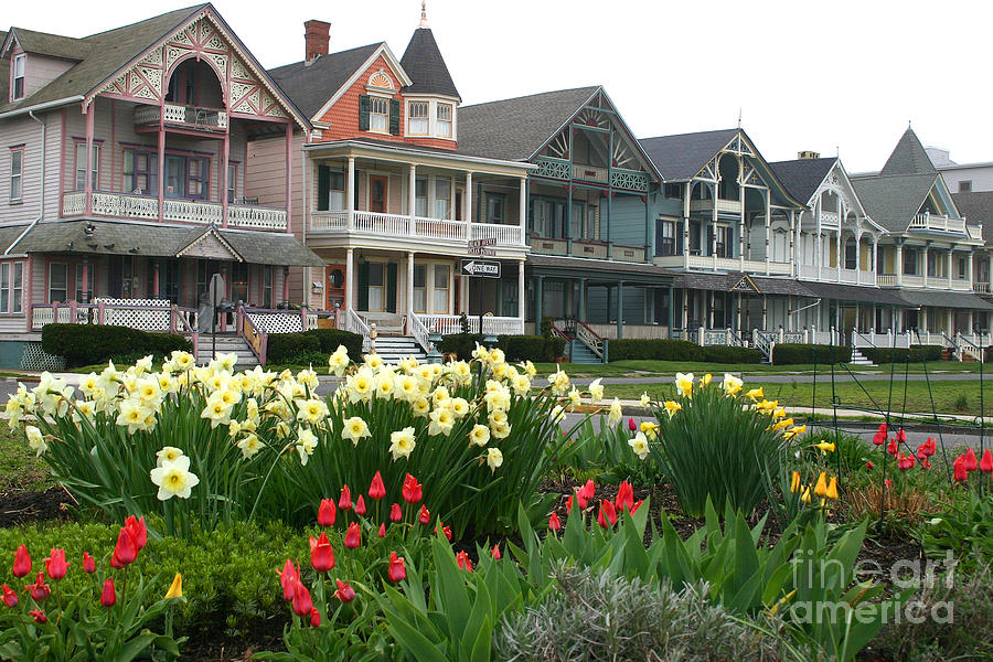 Flower Photograph - Ocean Grove Victorians in Spring by Kelly S Andrews