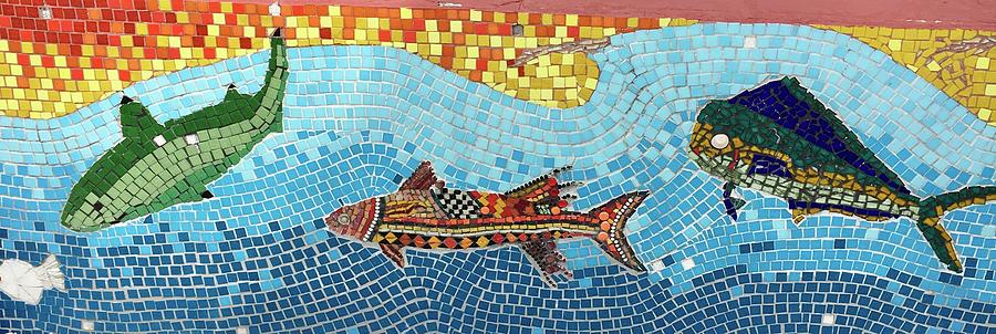 beautiful large ocean mosaic
