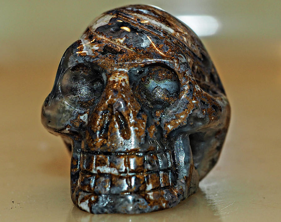 Ocean Jasper Crystal Skull Photograph by Rebecca Dru