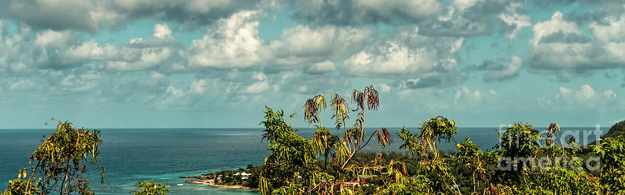Ocean Landscape near Ocho Rios, Jamaica Photograph by David Oppenheimer
