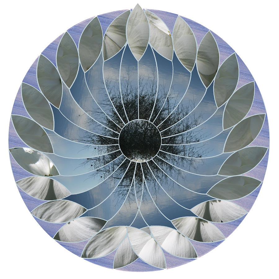 Abstract Digital Art - Ocean Lotus by Terry Davis