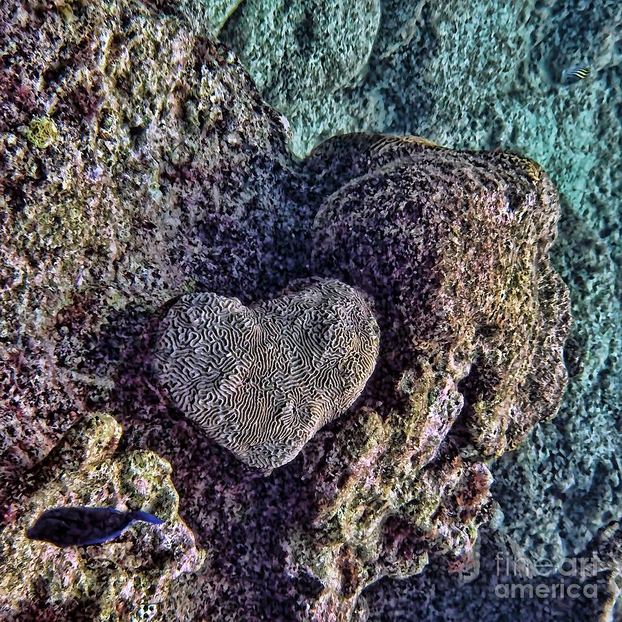 Nature Photograph - Ocean love by Peggy Hughes