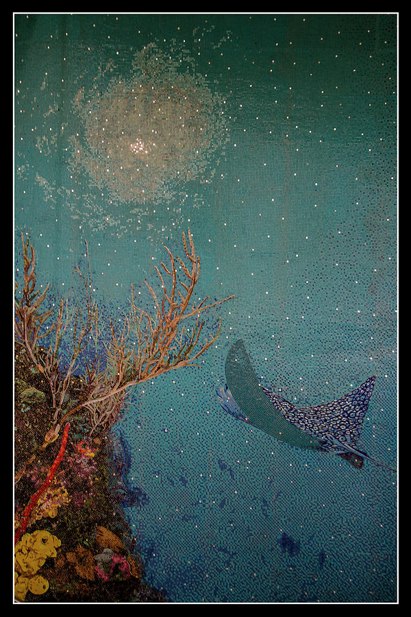 Fish Photograph - Ocean Mosaic by Teresa Wilson