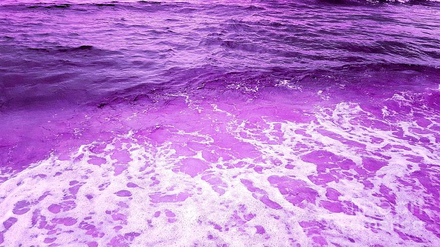 Ocean Of Purple Photograph by Rachel Hannah