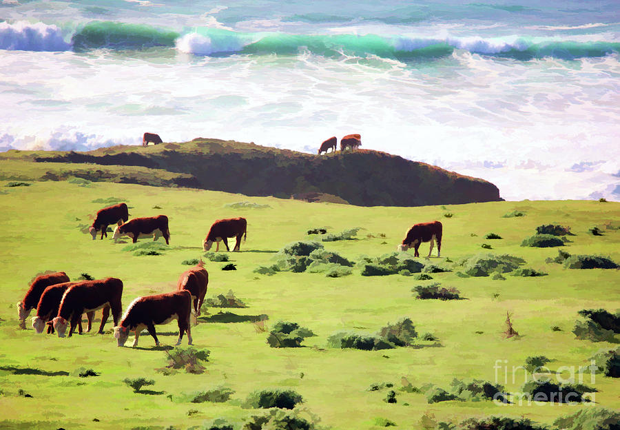 Ocean Pacific Cows Pasture  Photograph by Chuck Kuhn