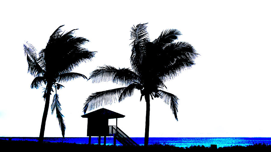 Ocean Palms Delray Beach Photograph by Lawrence S Richardson Jr