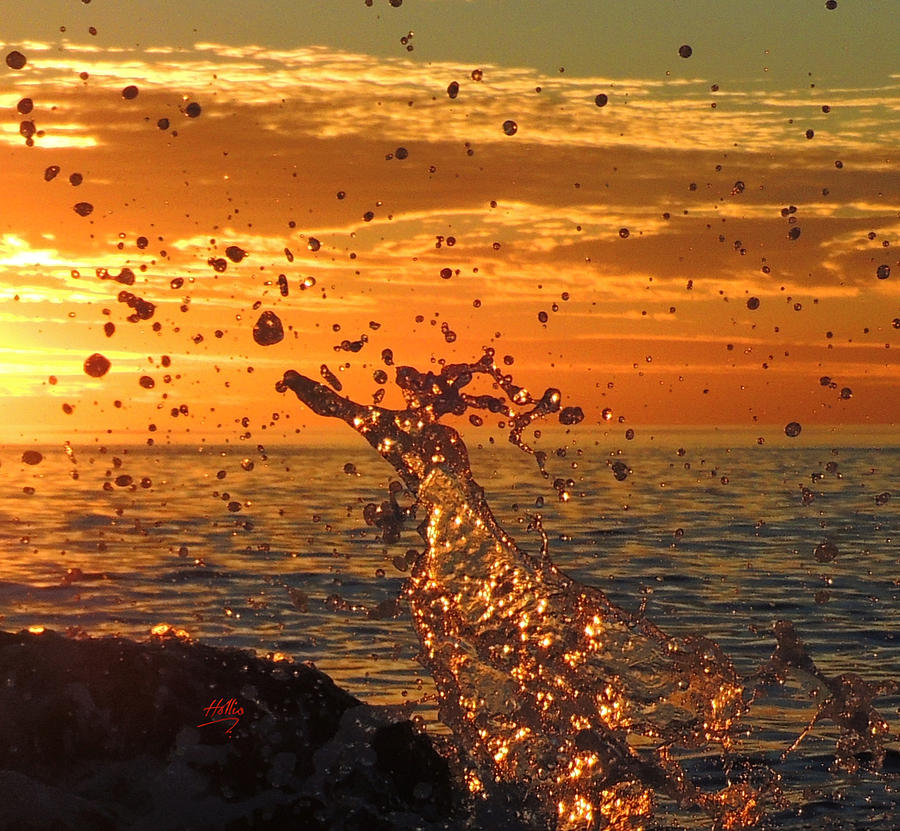 Ocean Splash Photograph by L Hollis