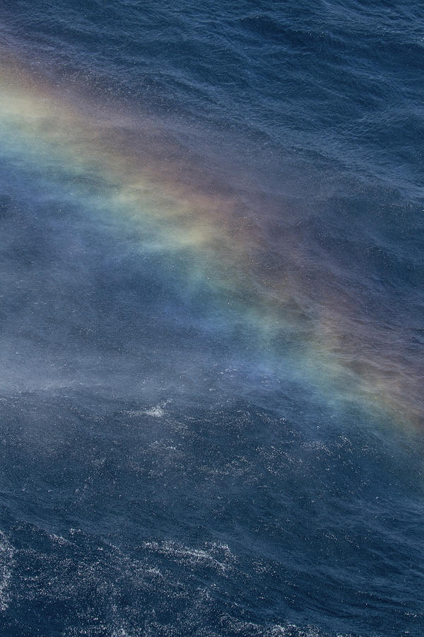 Ocean Spray Rainbow Photograph by John Haldane