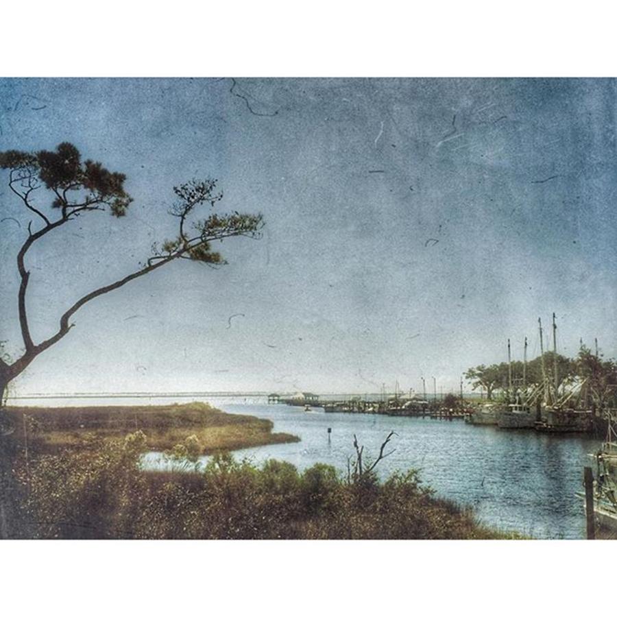 Mississippi Photograph - Ocean Springs Harbor by Joan McCool