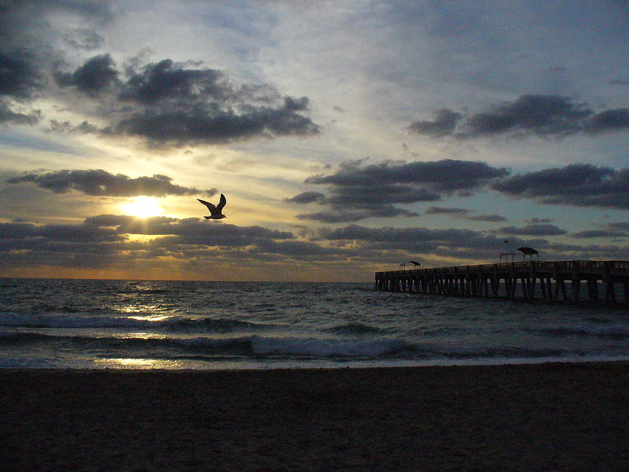 Ocean Sunrise Photograph by Peggy King