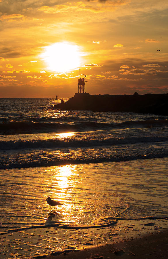 Ocean Sunrise Photograph by Travis Rogers