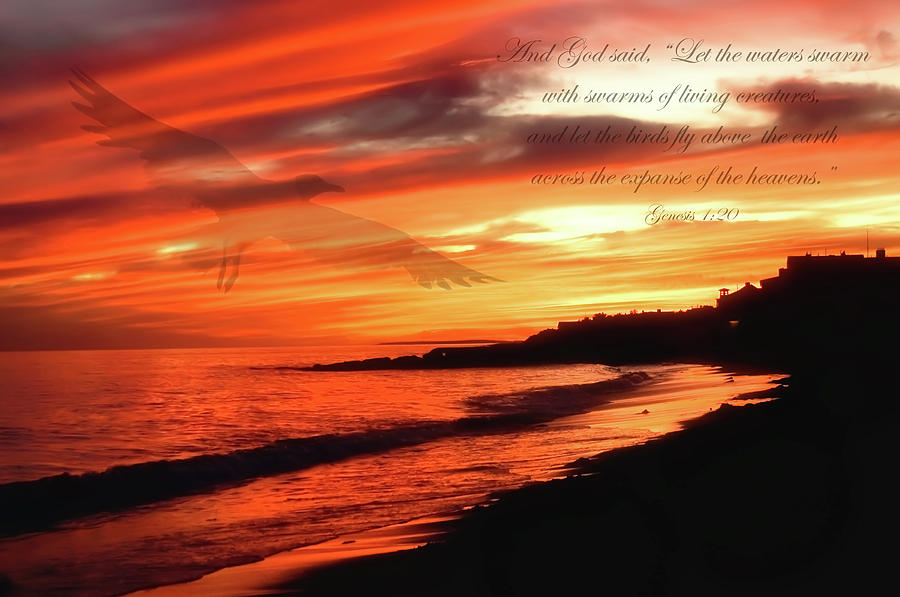 Ocean Sunset Bible Verse Photograph by Joann Vitali