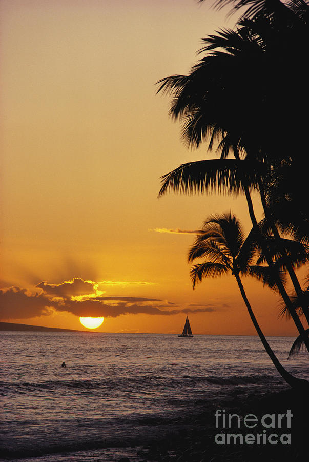 Ocean Sunset Photograph by Erik Aeder - Printscapes