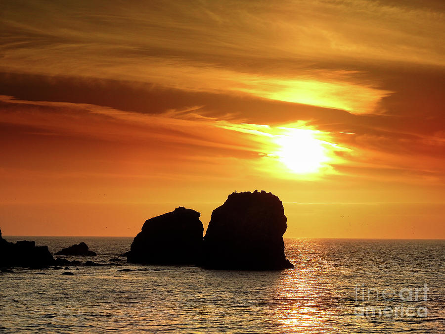 Ocean Sunset Photograph by Scott Cameron