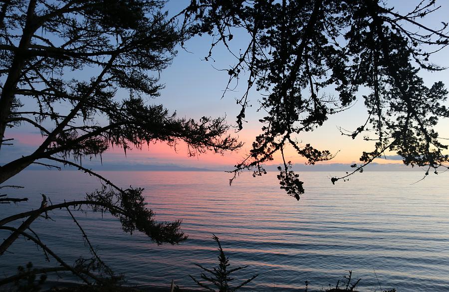 Ocean Sunset Thru the Trees  Photograph by Christy Pooschke