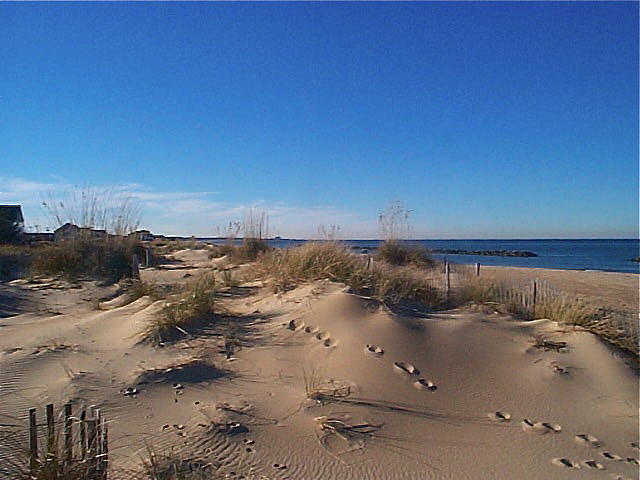 Beach Photograph - Ocean View Beach by Marina Owens Beach Photograph - Ocean View Beach by Marina Owens