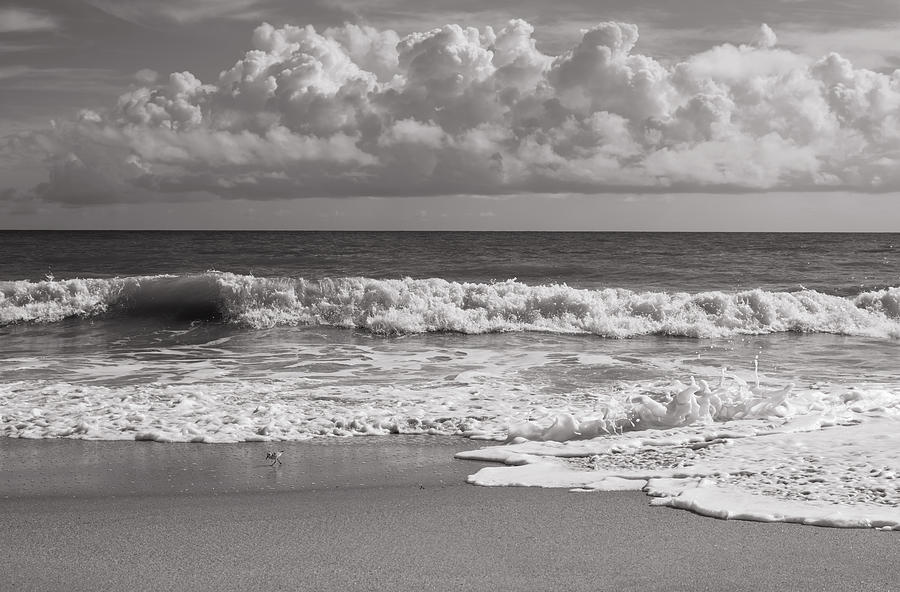 Ocean view from the beach in black and white Photograph by