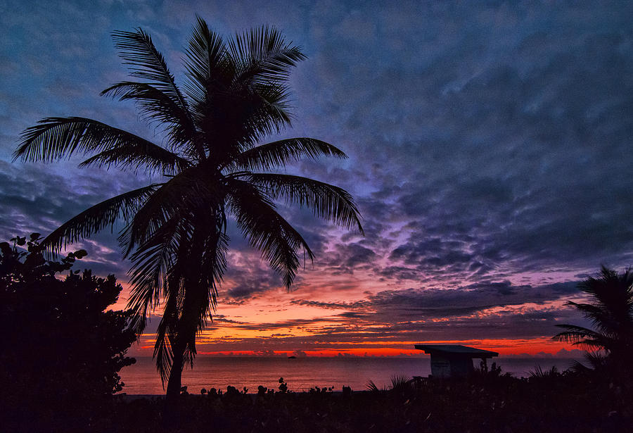 Oceanfront Before Sunrise Photograph by Don Durfee