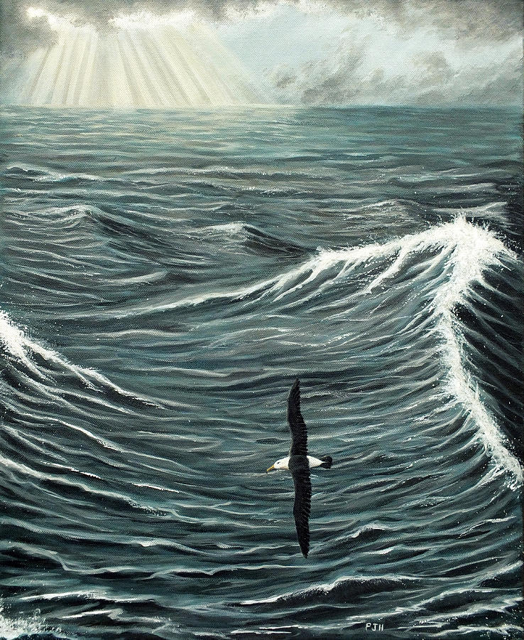 Albatross Painting - Oceanic Wanderer by Philip Harvey Albatross Painting - Oceanic Wanderer by Philip Harvey