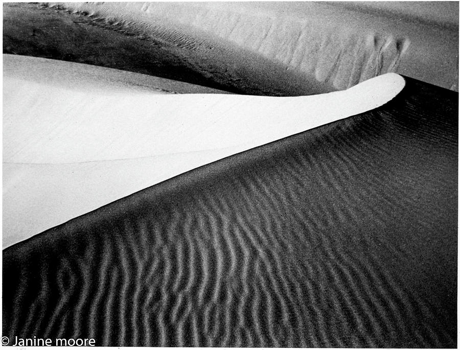 Oceano Dune Photograph by Dr Janine Williams