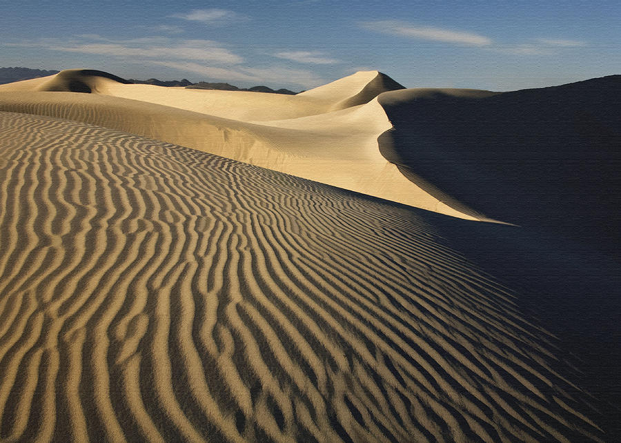 Oceano Dunes Photograph by Sharon Foster