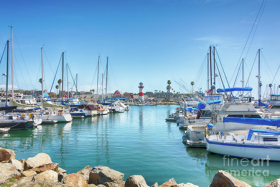 Oceanside Harbor in the Afternoon Photograph by David Levin