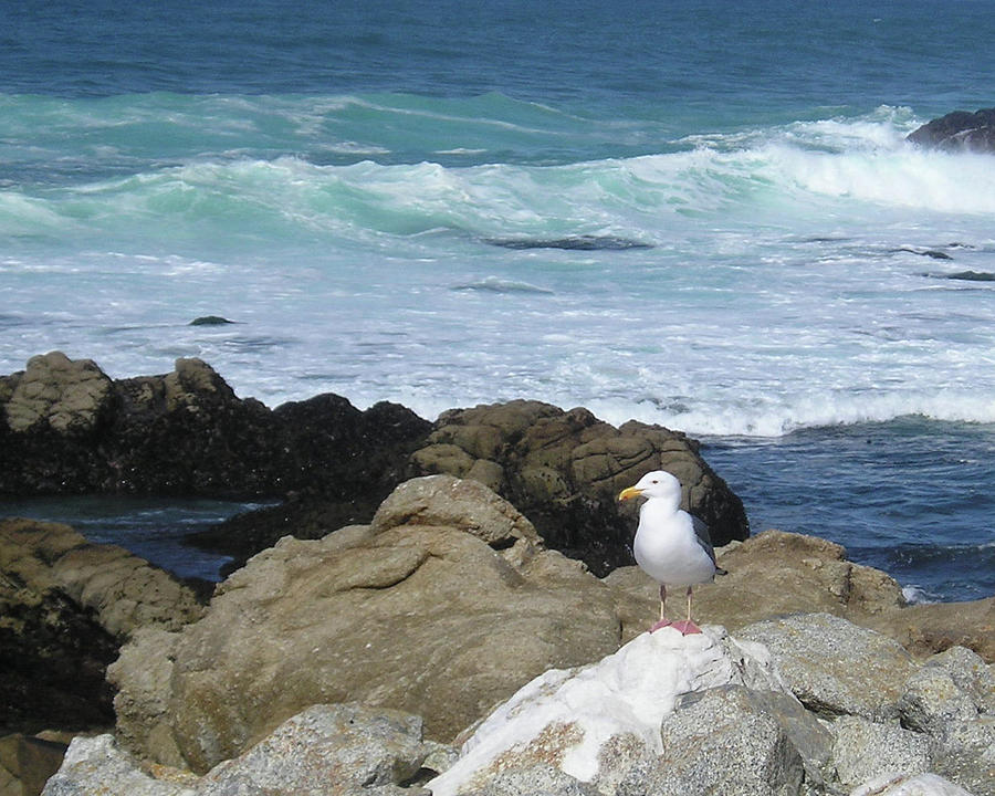 Beach Photograph - Oceanside by Lea Rhea Photography Beach Photograph - Oceanside by Lea Rhea Photography