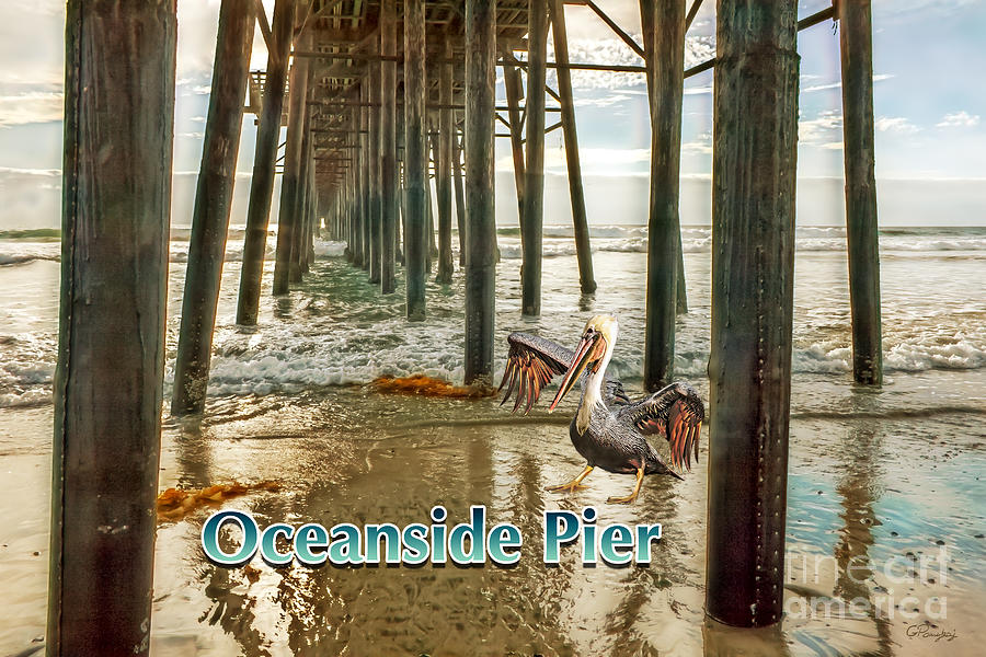 Oceanside - Pelican Under the Pier Digital Art by Gabriele Pomykaj