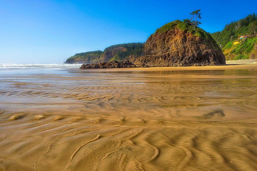 Oceanside State Park  Photograph by DCat Images