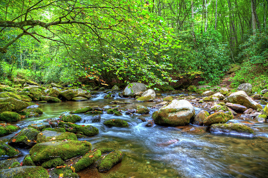 Oconaluftee River Photograph by Dale R Carlson