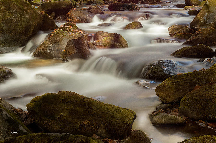 Oconaluftee River, Great Smoky Mountains National Park Photograph by Dana Sohr