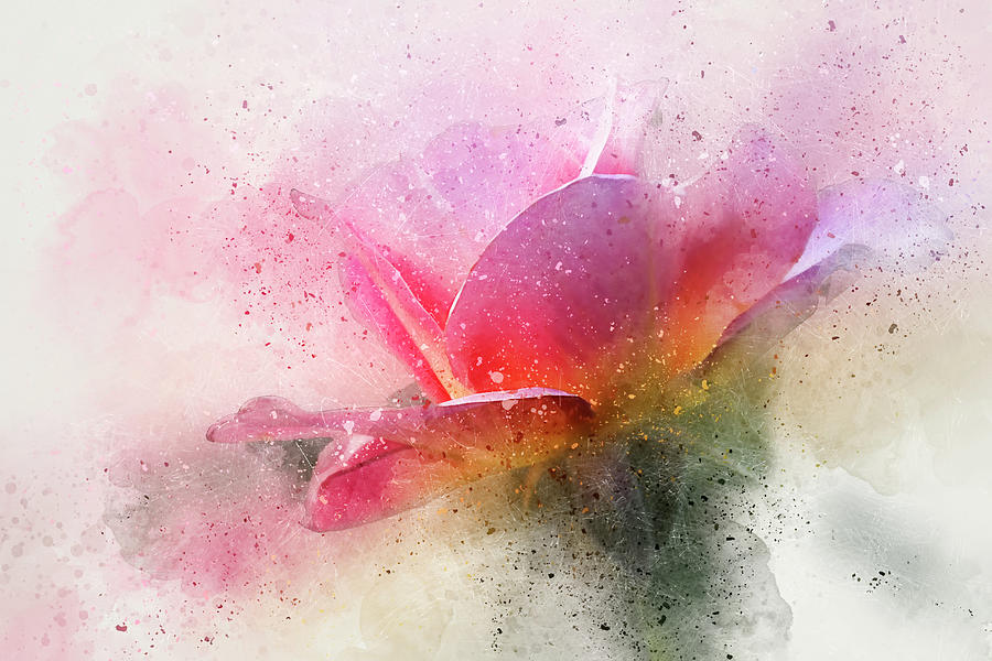 OConnor Rose Abstract Digital Art by Terry Davis