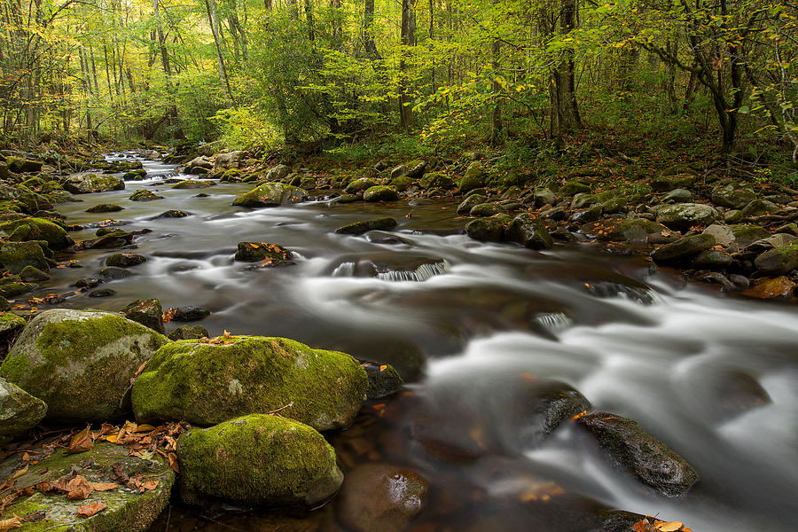 Nature Photograph - Oconaluftee River at Fall by Derek Thornton