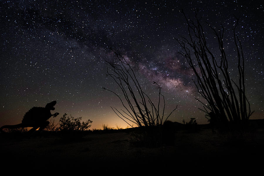 Ocotillo and Dino Milky Way Photograph by Scott Cunningham