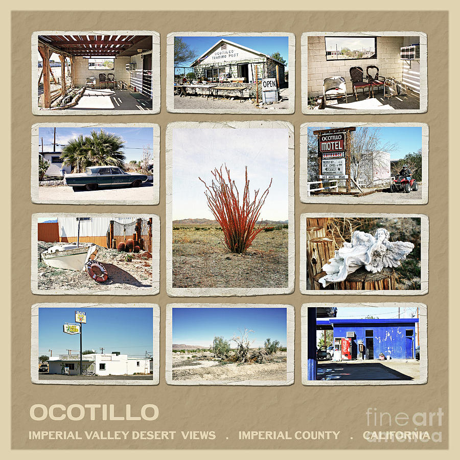 Ocotillo Poster Photograph by Gabriele Pomykaj