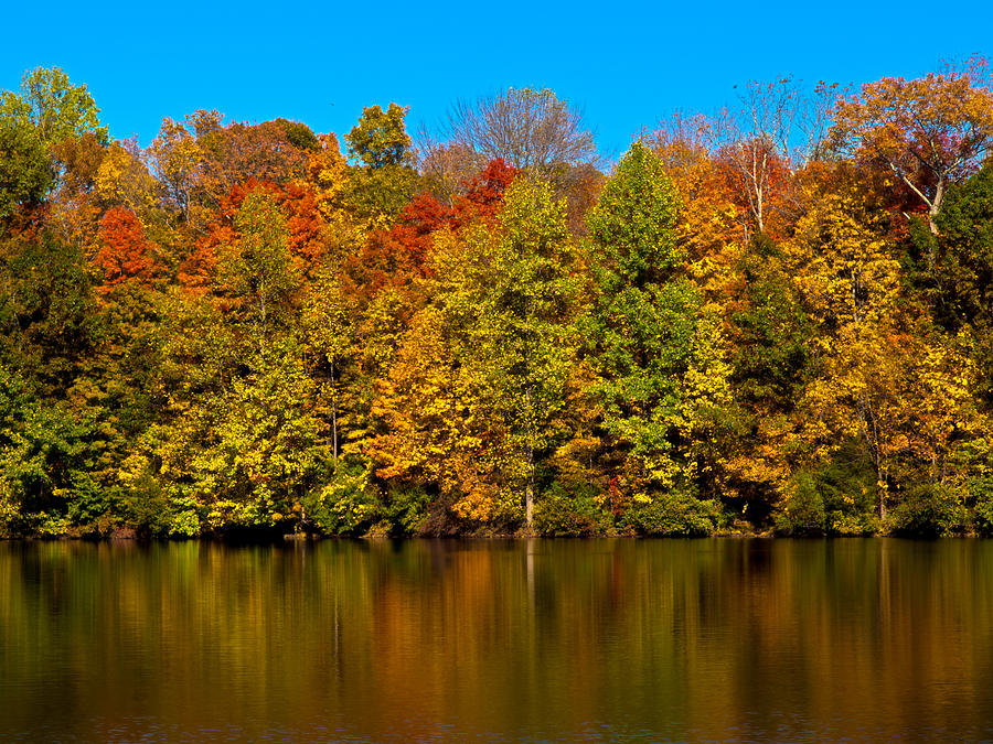 October at Lake Nockamixon Photograph by Paul R Sell Jr - Fine Art America