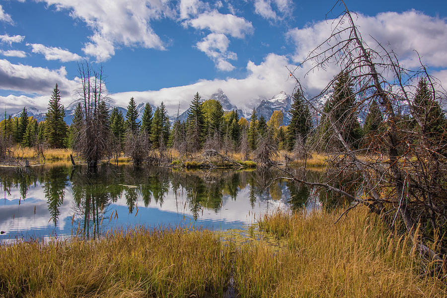 October At Schwabachers Landing Photograph by Yeates Photography