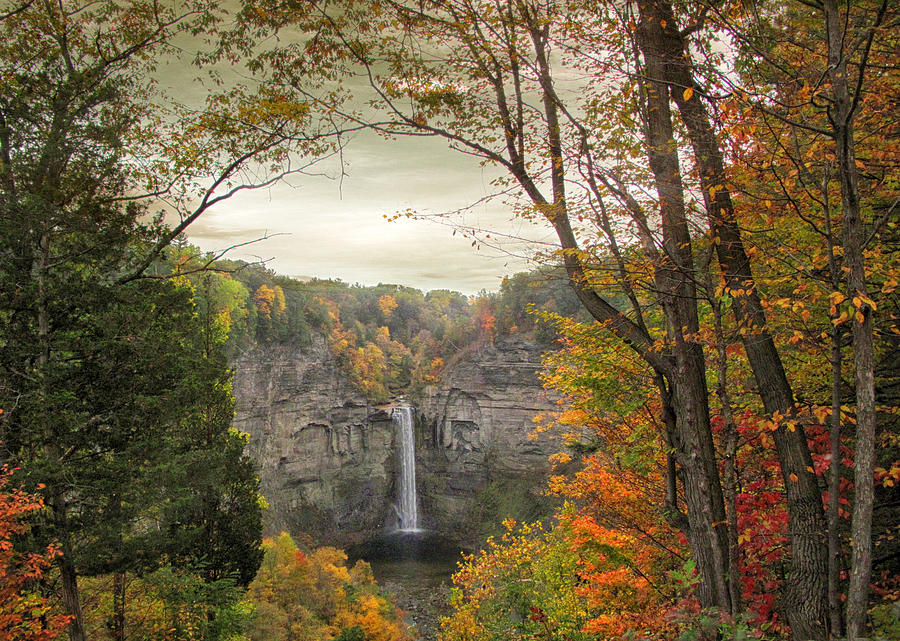 October at Taughannock Photograph by Jessica Jenney