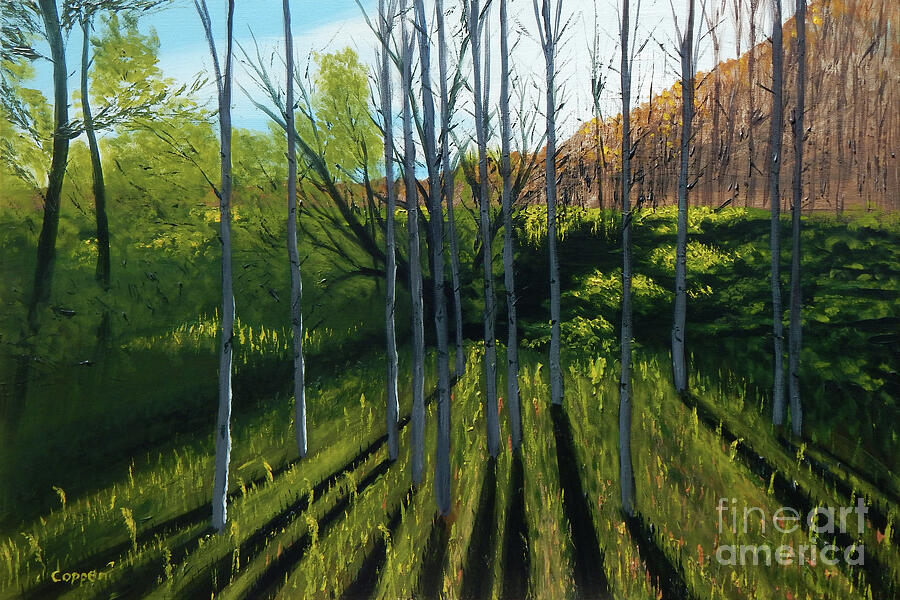 October Birches Painting by Robert Coppen