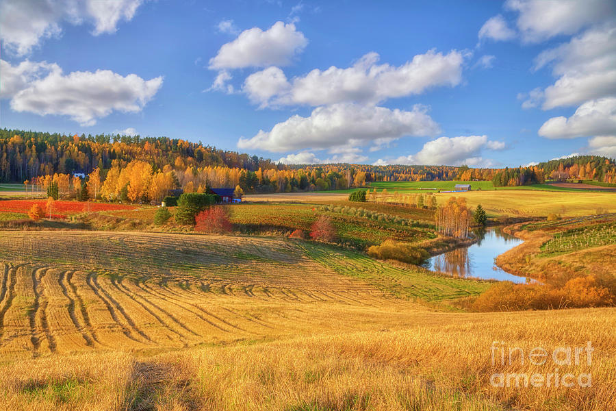 Fall Photograph - October Countryside 3 by Veikko Suikkanen