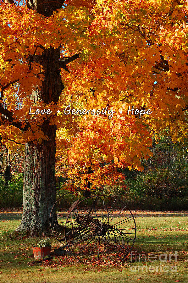 October Day Love Generosity Hope Photograph by Diane E Berry