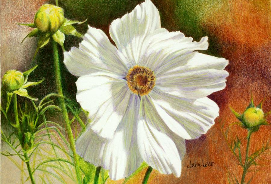 October Flower Cosmos  Painting by Janae Lehto