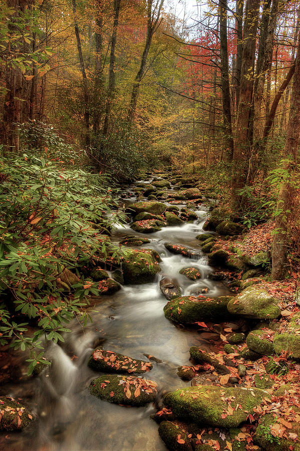 October Flowing Through The Smokies Photograph by Mike Eingle