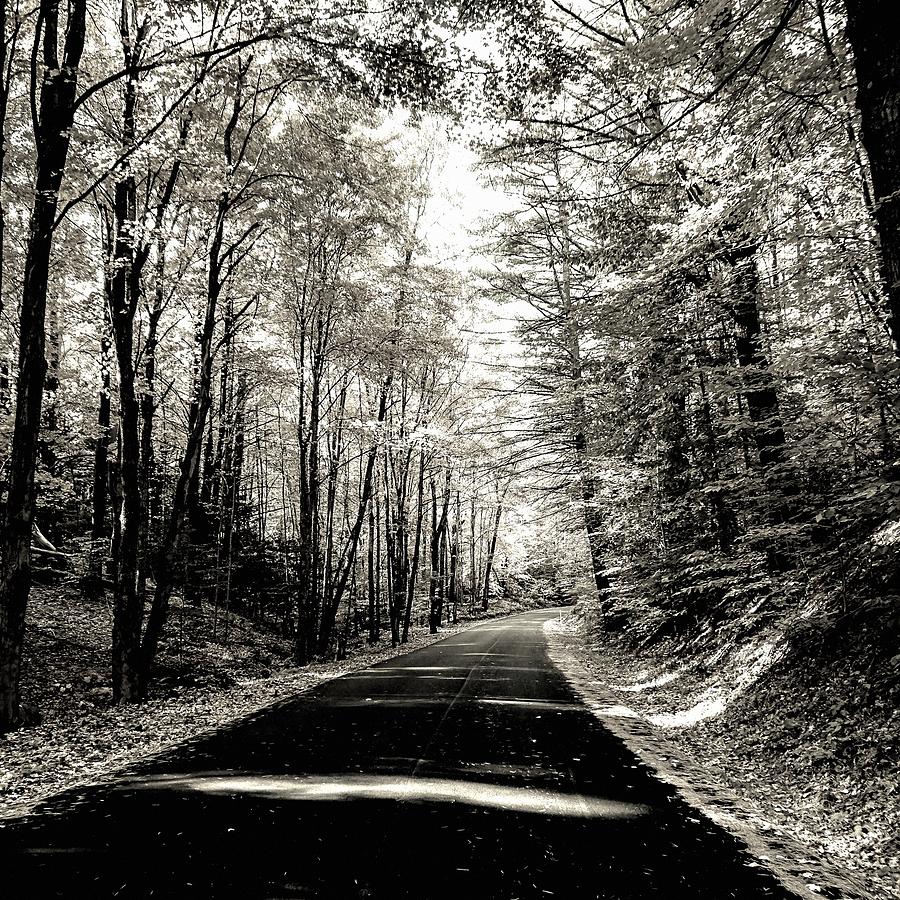 October Grayscale  Photograph by Kendall McKernon